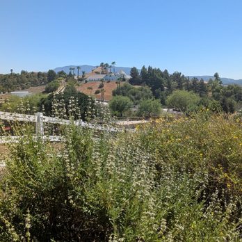 Rose Haven Heritage Garden - Community Gardens Near Me - Temecula, California