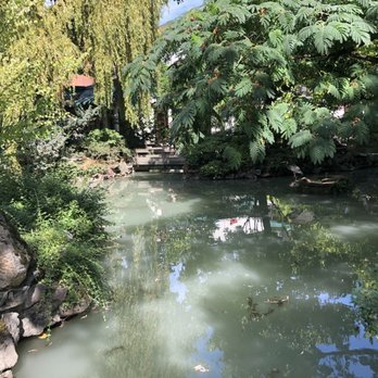 Vancouver Chinatown - Garden - Local Flavor Near Me - Vancouver, British Columbia