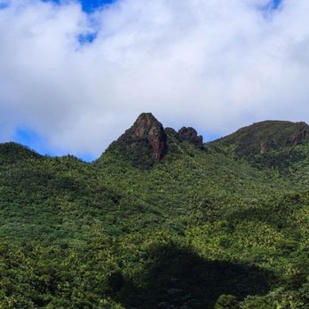 El Yunque Rainforest - Hiking Near Me - Luquillo, Puerto Rico