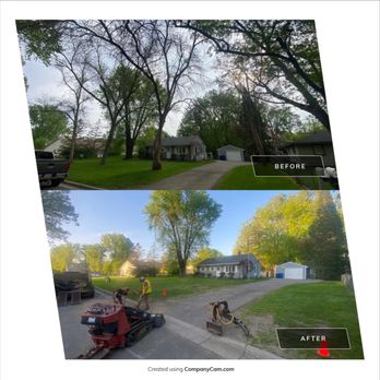 We Cut Tree's - Tree Services Near Me - Cottage Grove, Minnesota