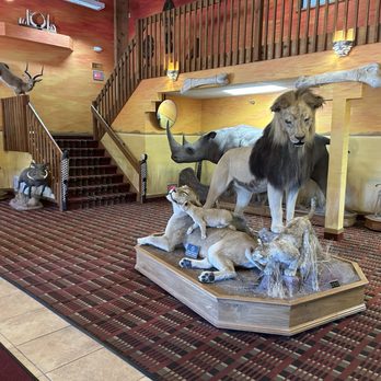 Kings Inn - Lobby - Hotels Near Me - Cody, Wyoming Kings Inn - Lobby - Hotels Near Me - Cody, Wyoming