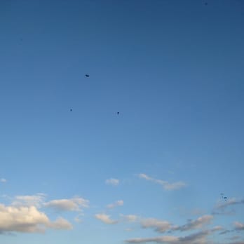 Skydive Perris - I was wondering why I had a random picture of the sky on my computer til I looked closer and saw the specks. - Skydiving Near Me - Perris, California Skydive Perris - I was wondering why I had a random picture of the sky on my computer til I looked closer and saw the specks. - Skydiving Near Me - Perris, California