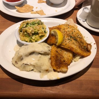 Cheddar's Scratch Kitchen - White fish, mash and broccoli and cheese - Comfort Food Near Me - Ocala, Florida