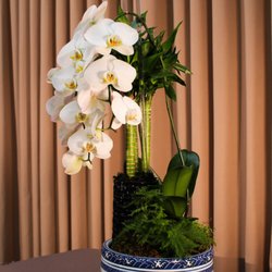 Orchid Boutique Florist