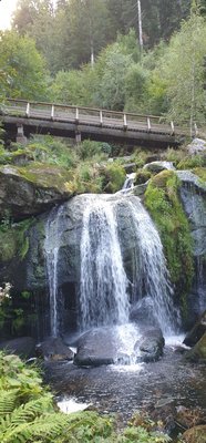 Triberg Waterfalls by null