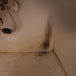 Parc @ 980 Apartment Homes - Under kitchen sink. Black mold and water between the walls