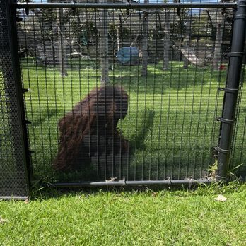 Honolulu Zoo - Zoos Near Me - Honolulu, Hawaii