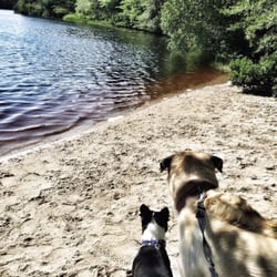 Fresh Pond Conservation Land and Dog Park
