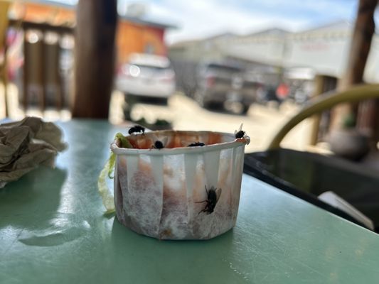 Lelo's Island Bar by null