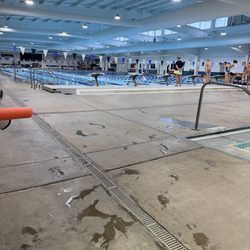 Lap pool
