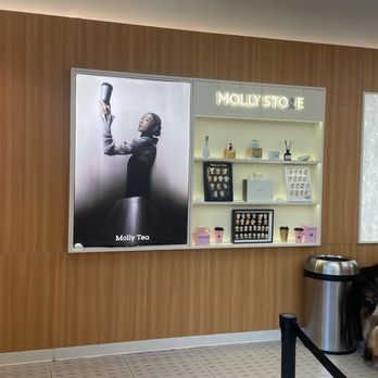 Molly Tea - Bubble Tea Near Me - Bellevue, Washington