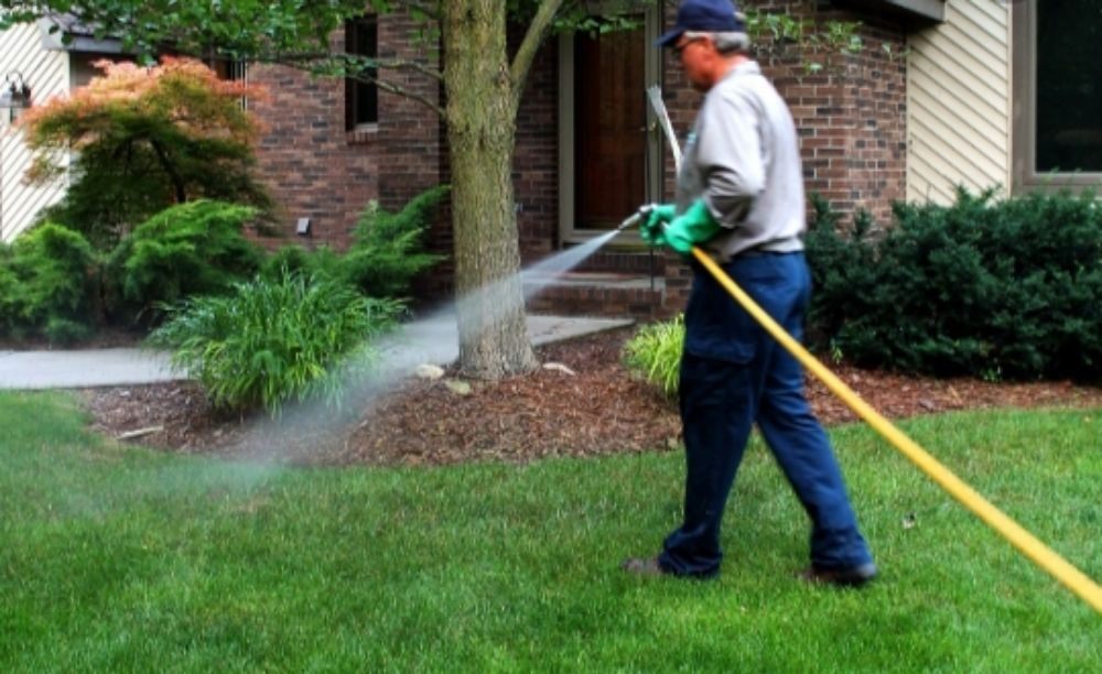 Slide of Pauls Concrete and Landscaping