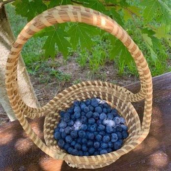 The Happy Berry - Pick Your Own Farms Near Me - Six Mile, South Carolina The Happy Berry - Pick Your Own Farms Near Me - Six Mile, South Carolina
