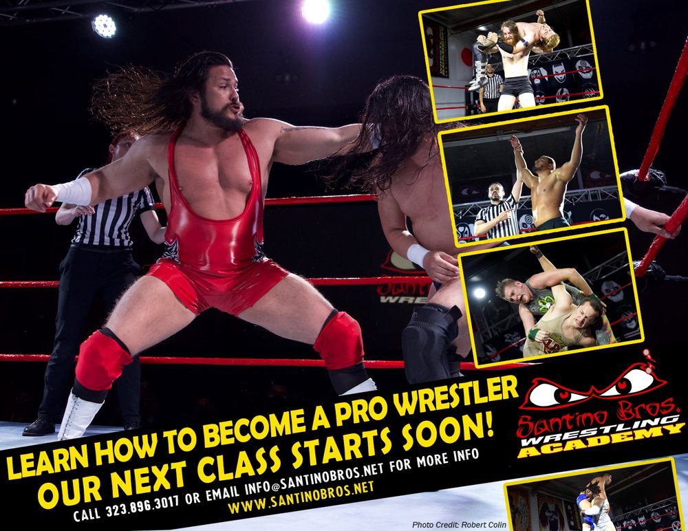 Santino Bros. Wrestling Academy Logo