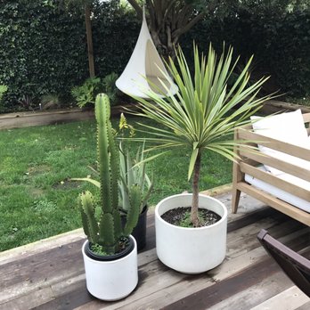 Venice Plants - Nurseries & Gardening Near Me - Venice, California Venice Plants - Nurseries & Gardening Near Me - Venice, California