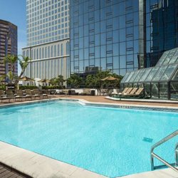 Hilton Tampa Downtown - Pool