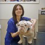 Photo of Livingston Animal Hospital