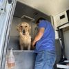 CURB Mobile Pet Groomers gift card