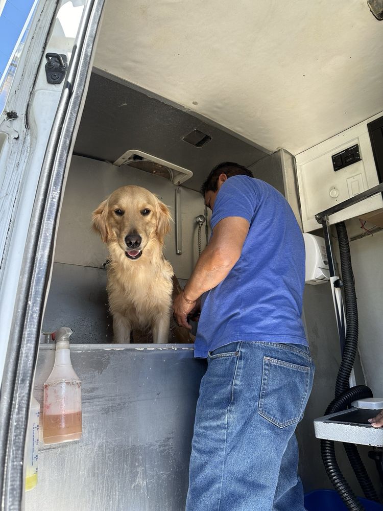 CURB MOBILE PET GROOMERS Updated September 2024 163 Photos & 123