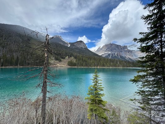 Emerald Lake Lodge by null