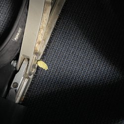Sun Country Airlines - The plane needs cleaning.