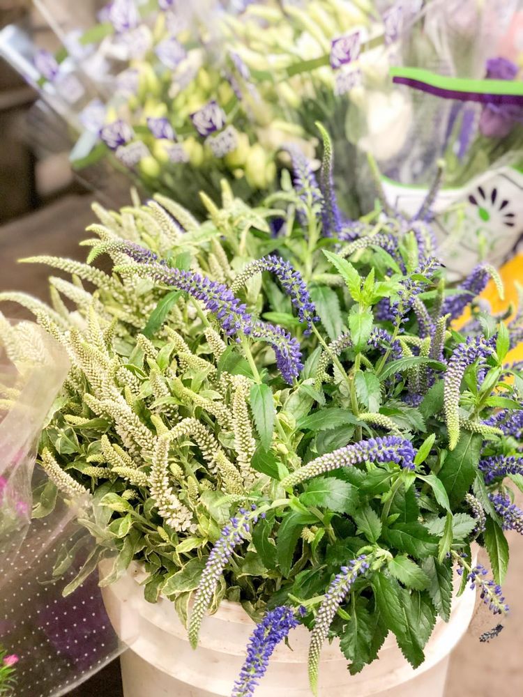 KNOWLES WHOLESALE FLORIST COMPANY Updated August 2024 2150 Lone