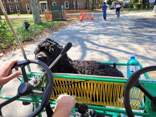 Blazing Saddles Bike Rentals & Tours by null