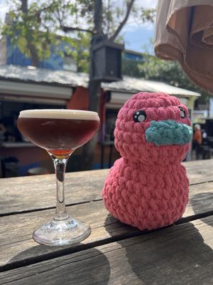 The Lucky Duck by null