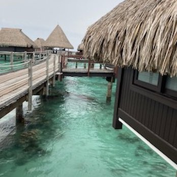 Luxuria Vacations - These are the over water bungalows they booked us in. - Travel Services Near Me - Miami, Florida