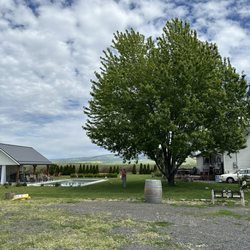 Ducleaux Cellars - The view!