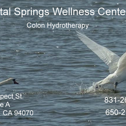 Crystal Springs Alternative Health