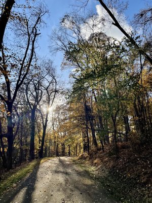 Warner Parks by null