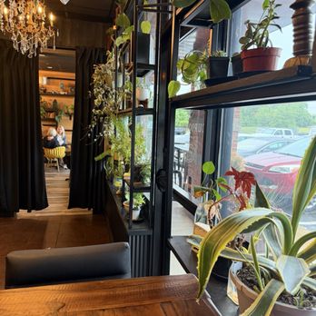 Curiouser Coffee & Elixers - Coffee & Tea Near Me - Eagan, Minnesota