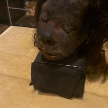 Arizona Science Center - A shrunken head in the Ripley's Believe it or Not exhibit that runs through May 4, 2014. - Children's Museums Near Me - Phoenix, Arizona Arizona Science Center - A shrunken head in the Ripley's Believe it or Not exhibit that runs through May 4, 2014. - Children's Museums Near Me - Phoenix, Arizona