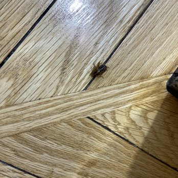 Windward Mall - Roaches on benches near food court. - Shopping Centers Near Me - Kaneohe, Hawaii Windward Mall - Roaches on benches near food court. - Shopping Centers Near Me - Kaneohe, Hawaii