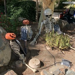 Halloween Halloween