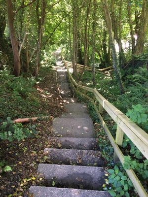 The Great Laxey Wheel by null
