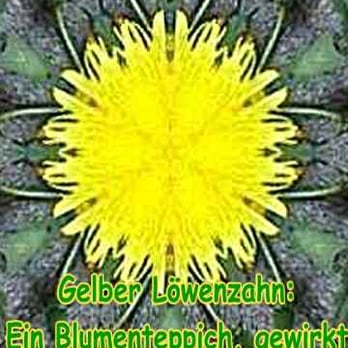 BLUMEN WENNER - Florists Near Me - Werne, NW