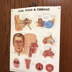 Parker Sinus & Allergy