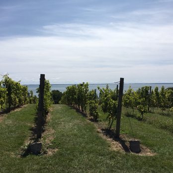 County Cider Company - Cideries Near Me - Waupoos, Ontario County Cider Company - Cideries Near Me - Waupoos, Ontario