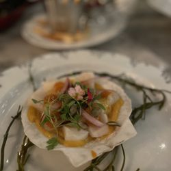 Loch Bar - Scallop ceviche