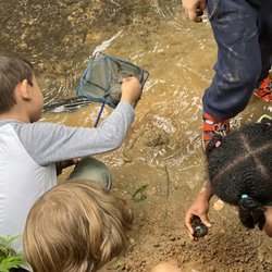 Howard County Conservancy - The Conservancy's summer camp gets kids outside, their hands dirty and their feet wet!