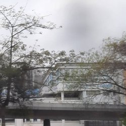 賽馬會體藝中學