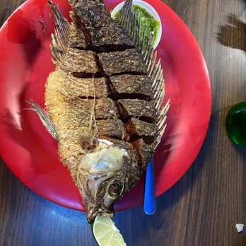 Las Islitas - Crispy fried tilapia..." I put the lemon in his mouth " - Mexican Near Me - Sacramento, California Las Islitas - Crispy fried tilapia..." I put the lemon in his mouth " - Mexican Near Me - Sacramento, California