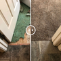 Tidewater Carpet Repair