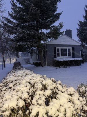 All Pro Home Inspection