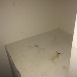 Redwood Coast Real Estate - Mystery stains...