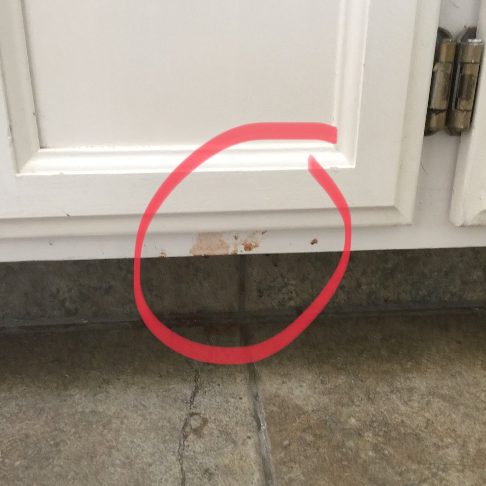 Sunshine Home Maintenance - Cabinets that were "cleaned" by Sunshine. - Home Cleaning Near Me Sunshine Home Maintenance - Cabinets that were "cleaned" by Sunshine. - Home Cleaning Near Me