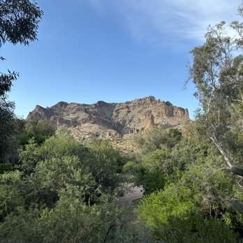 Boyce Thompson Arboretum - Botanical Gardens Near Me - Superior, Arizona Boyce Thompson Arboretum - Botanical Gardens Near Me - Superior, Arizona
