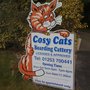 Photo of Cosy Cats